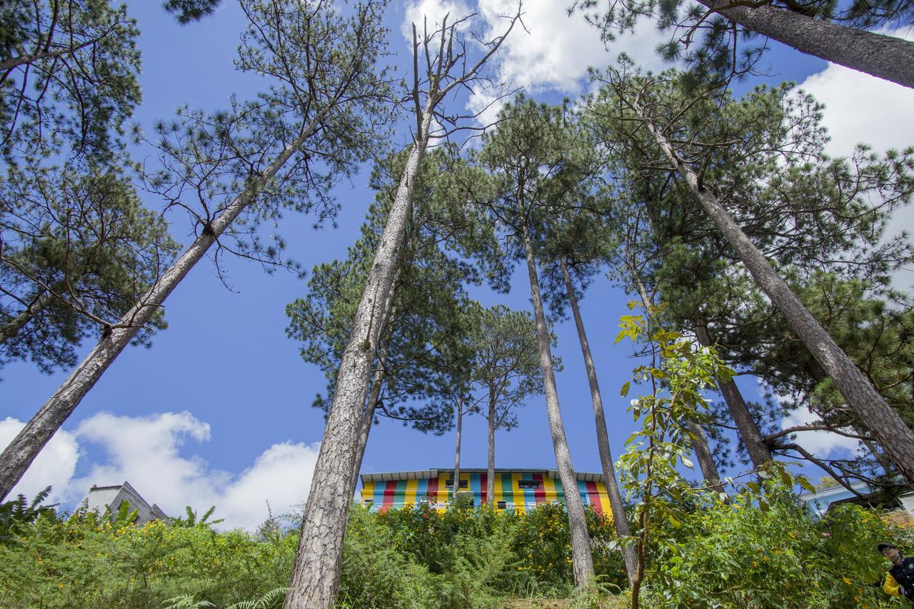 Icolor Dalat Hostel Extérieur photo